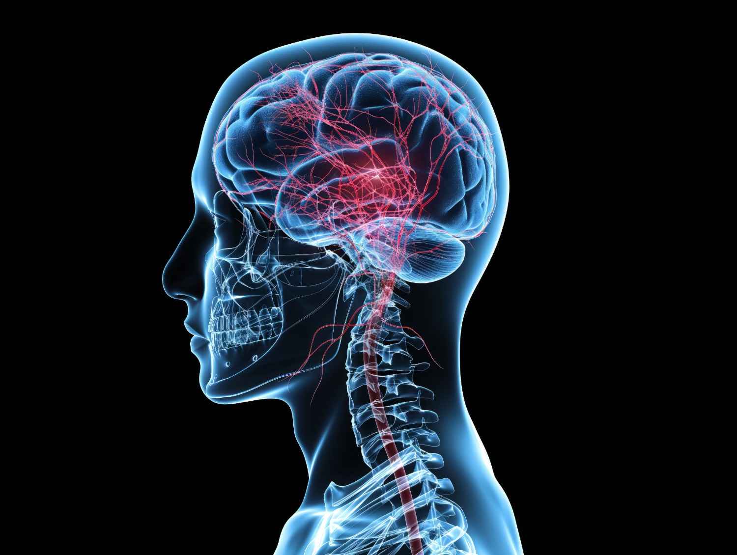 human-head-with-red-highlighted-brain (1)